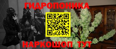 МДПВ Канаш