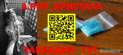 стаф Камышлов